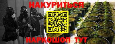 наркотики Брянск