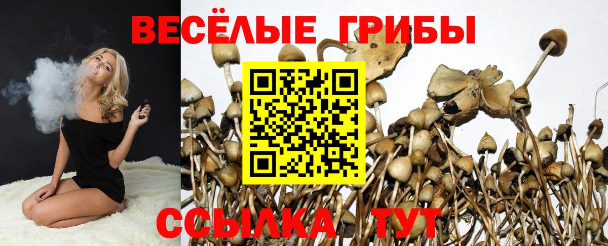 Петрозаводск  Галлюциногенные грибы Cubensis  Вход с VPN  Галлюциногенные грибы MAGIC MUSHROOMS 